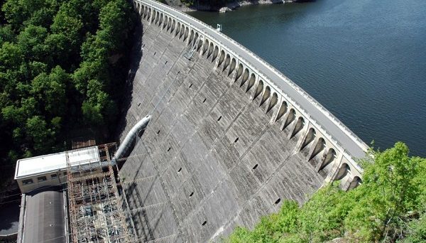 Дамбы и водохранилища, обеспечивающие работу электростанций, угрожают экосистеме рек